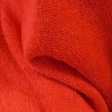 Eponge Corail