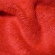Eponge Corail