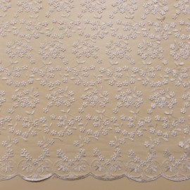 Dentelle campanule Blanche