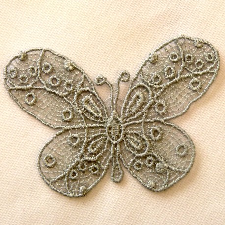 Papillon gris