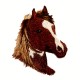 Tête de cheval